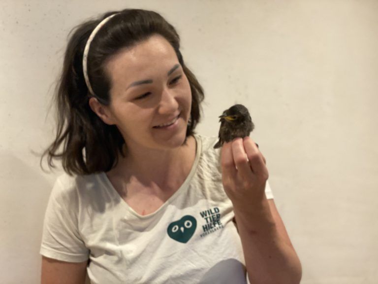 Katharina Feursteins Herz schlägt für Wildtiere. 