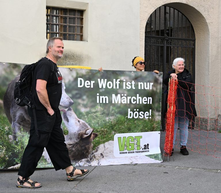 In Salzburg fanden sich am Montag Vertreter des Vereins gegen Tierfabriken ein und stellten einen symbolischen Herdenschutzzaun auf. <span class="copyright">APA</span>