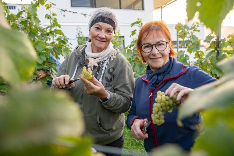 Marianne Czihak (l.) und Sieglinde Gechter sind freiwillige Helferinnen.<span class="copyright"> rhomberg</span>