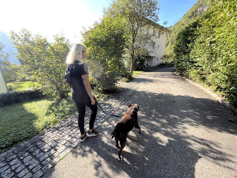 Der Terrier läuft immer in der Nähe seines Frauchens. <span class="copyright">Vn/Plesch</span>