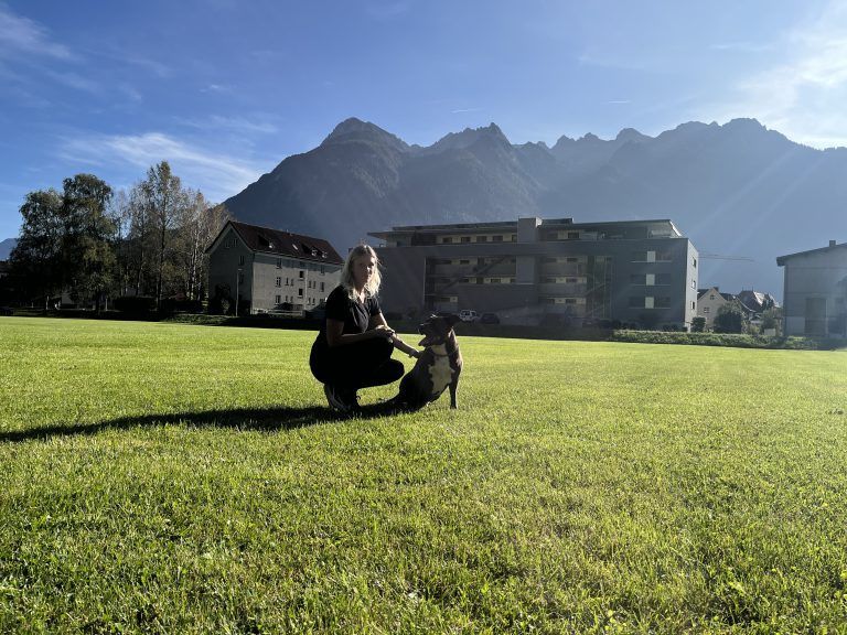 Auf einer Wiese werden die wichtigsten Kommandos wiederholt. <span class="copyright">VN/Plesch</span>
