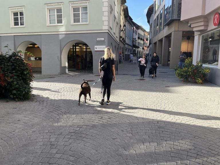 In der Stadt zieht Milo die Blicke auf sich. <span class="copyright">Vn/Plesch</span>