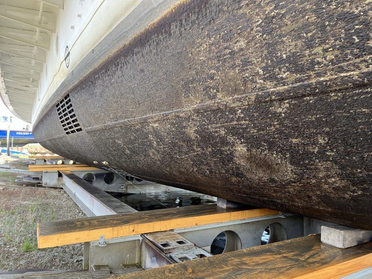 Es war mit Algen, aber nur wenigen Muscheln bedeckt. <span class="copyright">VN/Plesch</span>