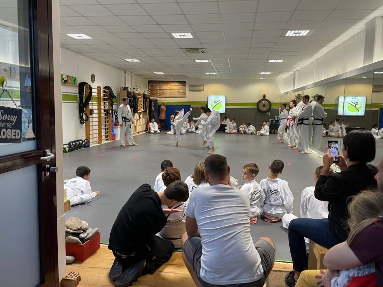 Rund 100 Schüler trainieren am ZEN Taekwon-Do Center Feldkirch waffenlose Selbstverteidigung.