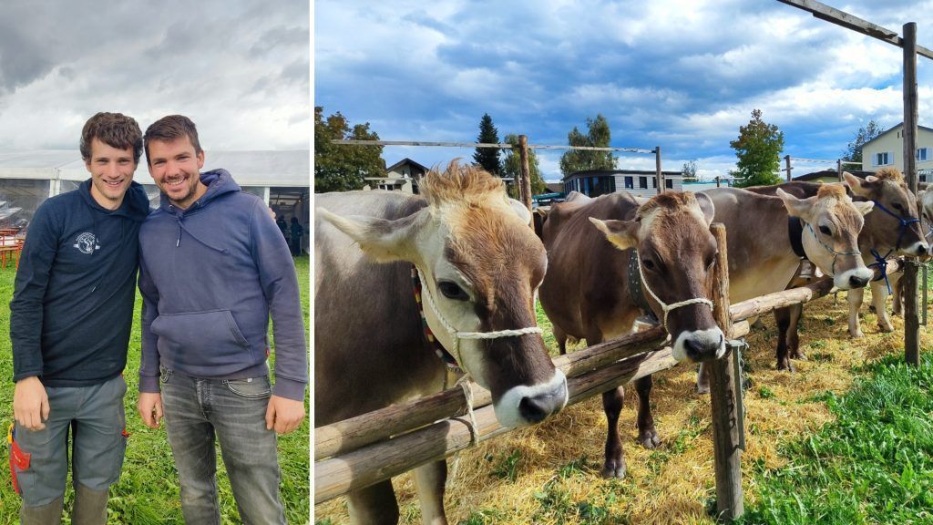 Bauern, Kühe und 110 Jahre Tradition