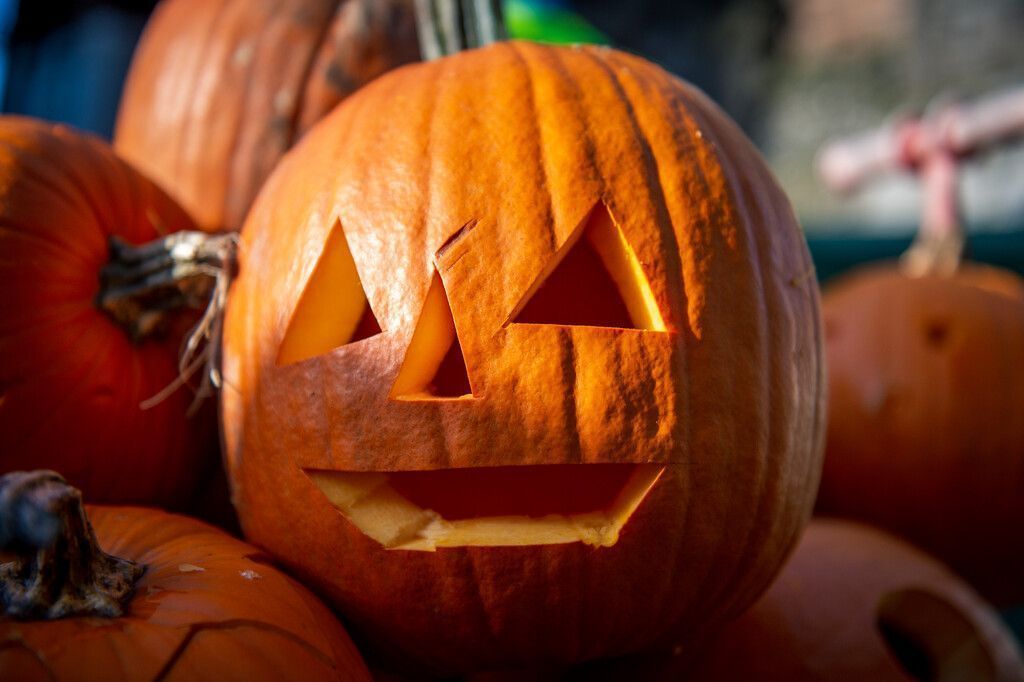 Halloween-Party für die ganze Familie