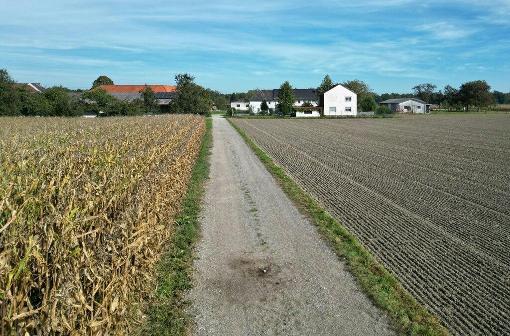 Joggerin von Hund totgebissen – Halterin schwer verletzt