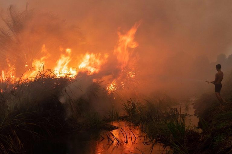 Der Besitzer einer Chili-Plantage in Ogan Ilir in Süd-Sumatra versucht, einen Torfbrand zu löschen. AFP