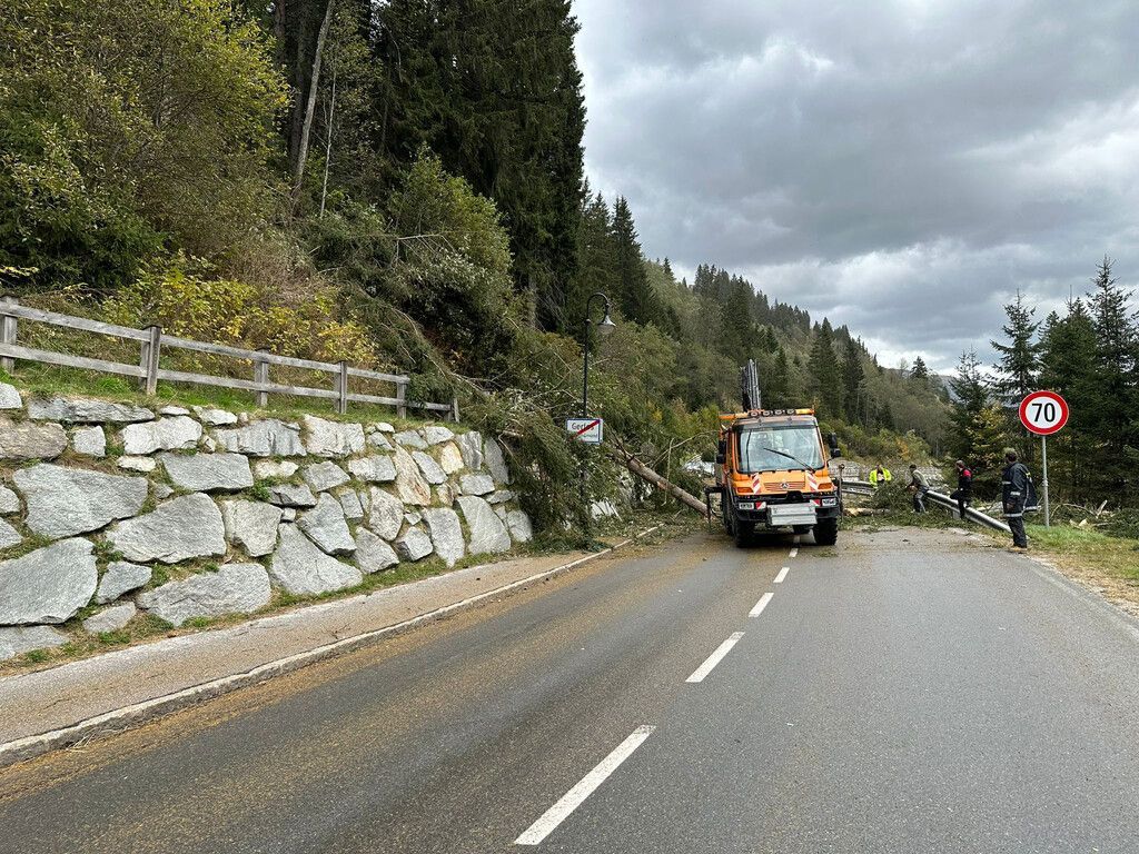 Föhnsturm in Tirol: 86-Jähriger von umstürzendem Baum erschlagen