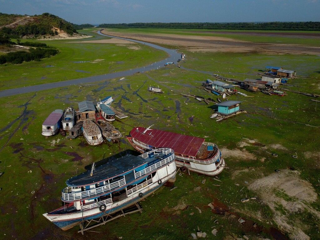 Hitze und Dürre am Amazonas: Über 100 tote Flussdelfine