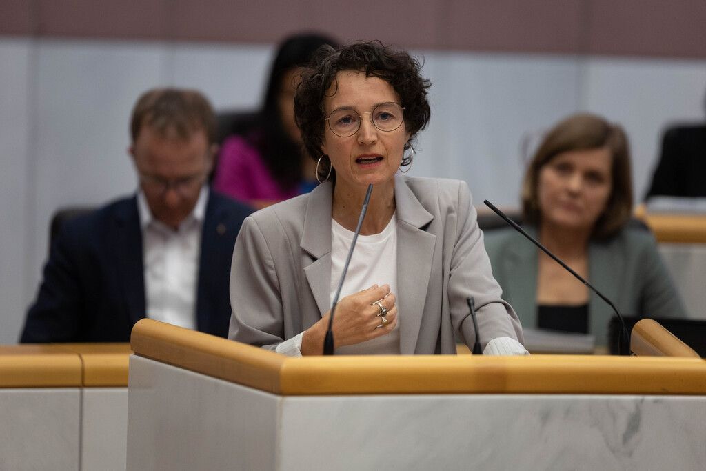 Hammerer attackiert die FPÖ im Landtag