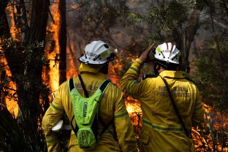 Hohe Temperaturen und starke Winde haben die Flammen immer wieder angefacht.