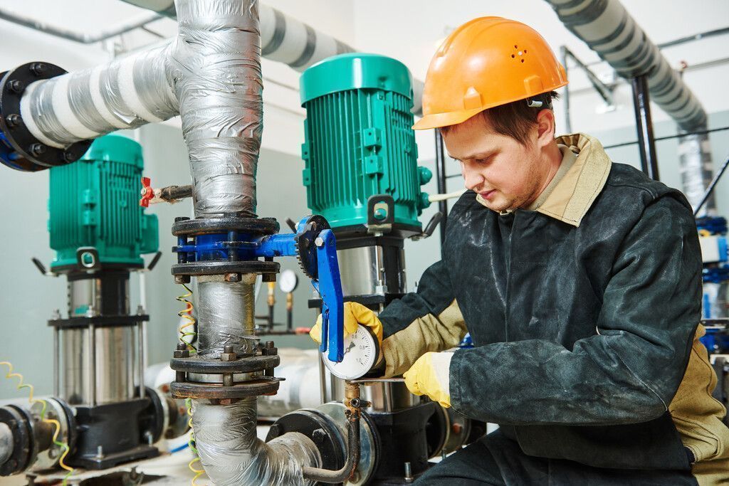 „Green Skills“ sind gefragte Kompetenzen