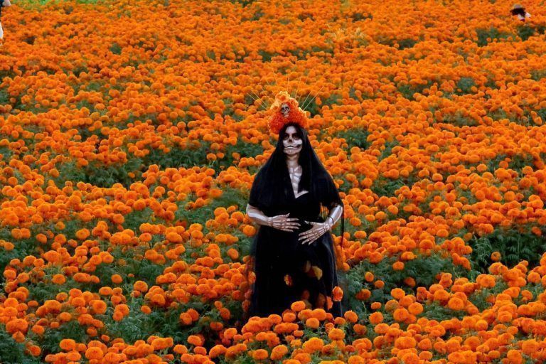 Im Vorfeld der Feierlichkeiten zum „Tag der Toten“ in Mexiko posiert eine Frau in einem Feld aus Ringelblumen in Tlajomulco de Zúñiga. AFP