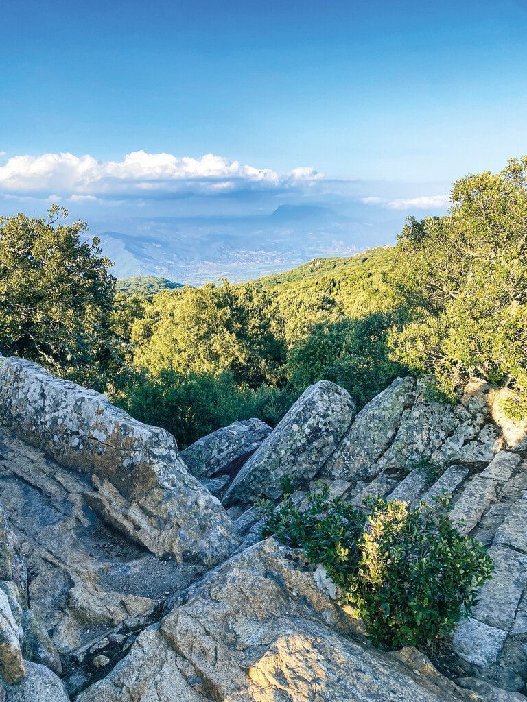 Kalkstein und Steineichen prägen das Landschaftsbild.Beate Rhomberg (3)