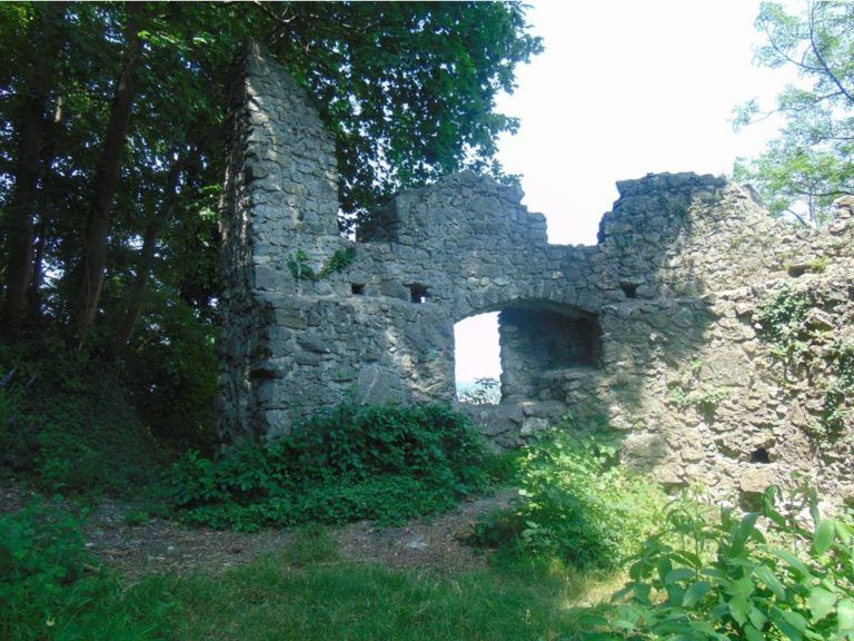Am Samstag, den 4. November, findet bei der Burgruine Neuburg ein Aktionstag zur Ausforstung statt. Mima