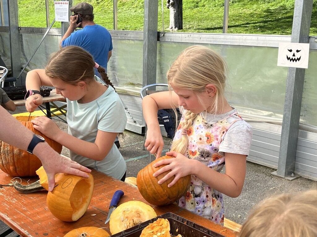 Eingesendet. Vereinsnachrichten aus dem Bezirk