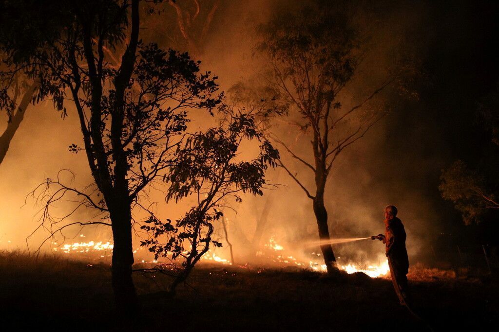 Buschfeuer in Australien außer Kontrolle: Hunderte evakuiert