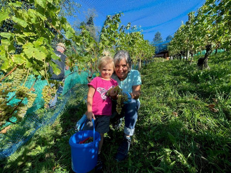 Oma Almut und Enkelin Magdalena: Drei Generationen helfen im Weinberg mit.