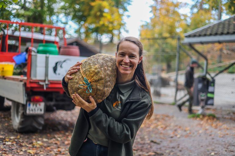 Mit einem Sack voller Kastanien geht Birgit Wedl ins Hirschgehege.