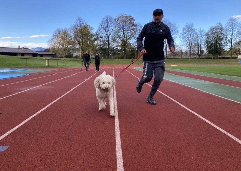Mit sechs Beinen nahm dieser Teilnehmer mit Hund am Spendenlauf für Niclas teil.