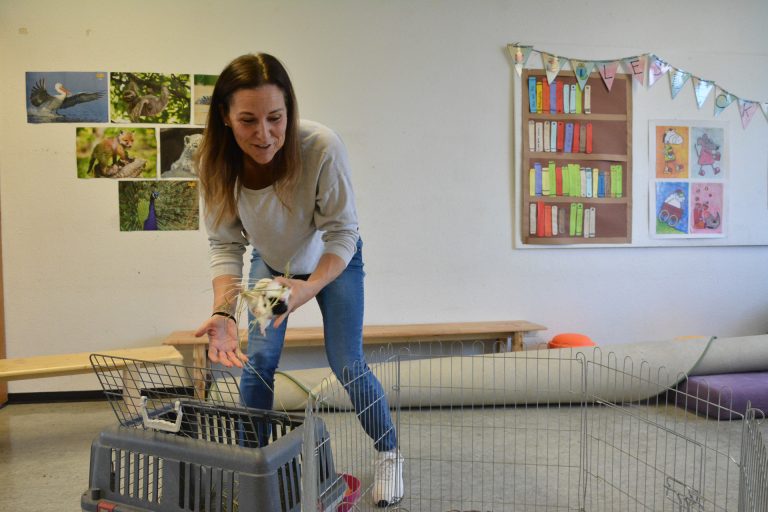 Nina Schlattinger vom Alpaka-Hof im Lustenauer Streueried ist ein Schule-am-Bauernhof-Partner und kommt auch mit einigen Tieren an die Schulen und Kindergärten.