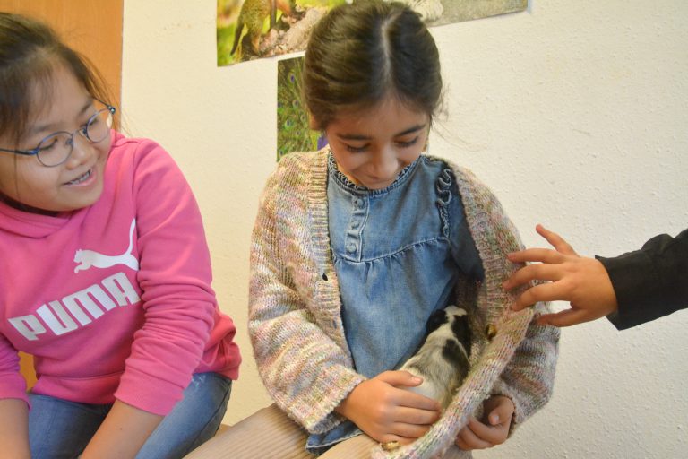 Die Schülerinnen hatten viel Freude an den Meerschweinchen.