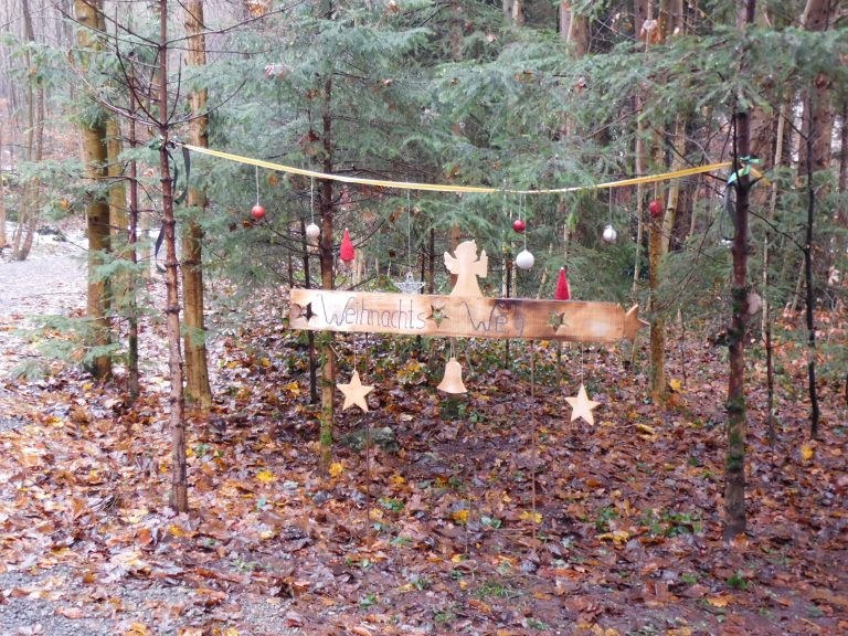 Der Wald in St. Arbogast lädt auch heuer wieder auf den Weihnachtsweg ein.<span class="copyright"> MIMA</span>
