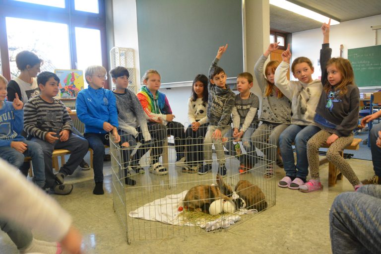 Tierischen Besuch hatten heute die 3b und 1a-Klasse der Volksschule Rotkreuz. <span class="copyright">bvs</span>