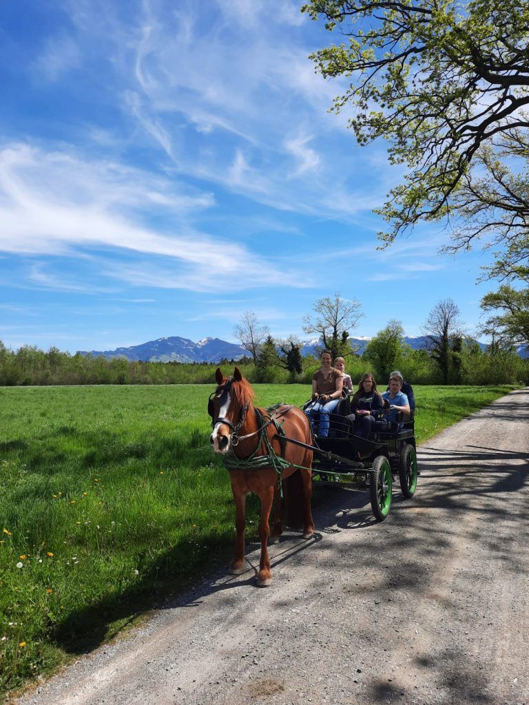 Familie Wedl fährt gern mit der Kutsche aus.