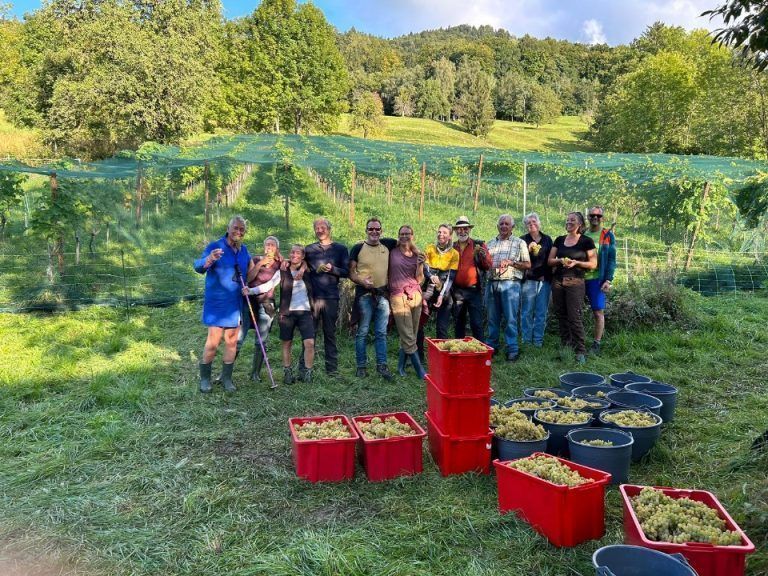 Nach getaner Arbeit im Weinberg steht die gute Laune ins Gesicht geschrieben. 