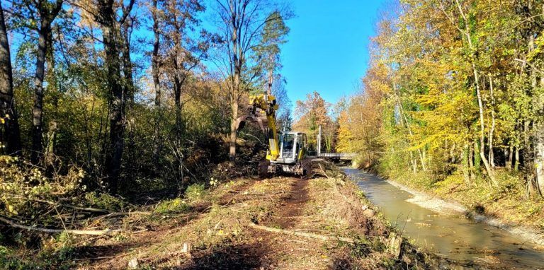 Das Hochwasserschutzprojekt Ruggbach im Leiblachtal startet mit ersten Rodungen und Umgestaltungsmaßnahmen zur Verbesserung der Hochwassersicherheit und ökologischen Aufwertung des Gebietes.