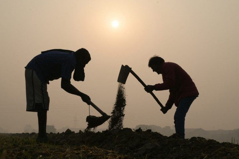 Bei starkem Smog arbeiten Bauern auf einem Feld außerhalb der indischen Stadt Amritsar. AFP