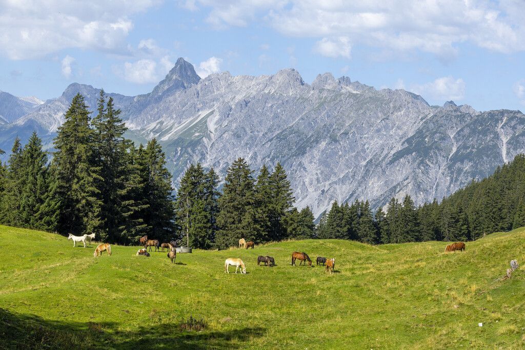 EU-Einigung zur Rettung der Natur
