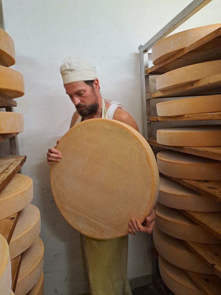 Ein Käselaib hat einen Durchmesser von etwa 60 Zentimetern und wiegt 32 Kilo.