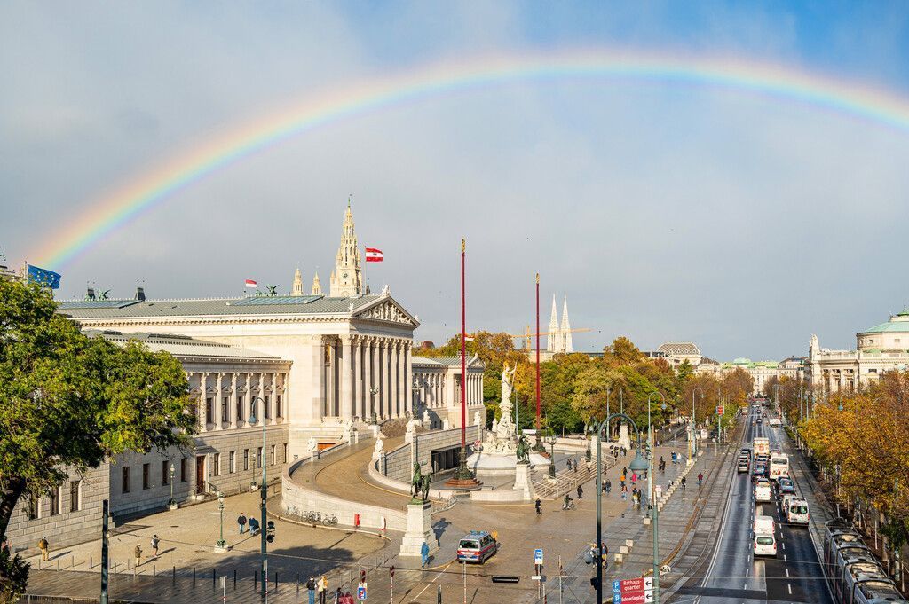 Bilder des Tages