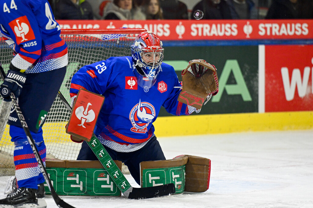 Haie verpassen  Sensation knapp