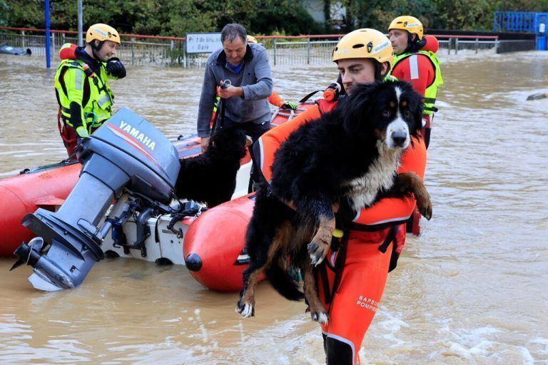 Feuerwehrleute evakuieren einen Bewohner und seine Hunde in Saint-Étienne-au-Mont im Norden Frankreichs, nachdem der Fluss Liane über die Ufer trat. RTS