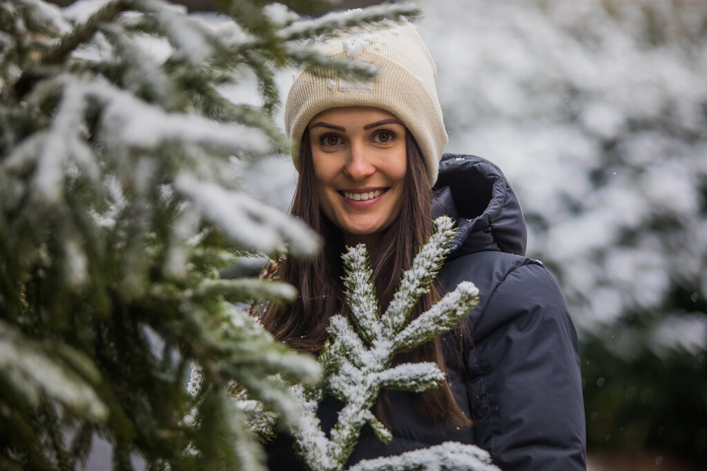 Der Winter kommt mit Schnee und Kälte