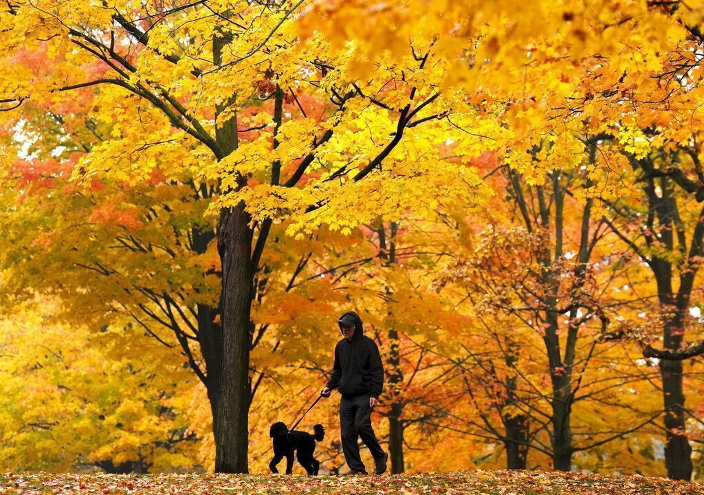 Ab nach draußen – Zusammen bewegt durch den November