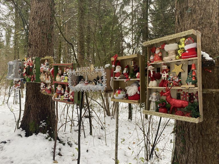 Weihnachtswald von Jolanda Gasperi