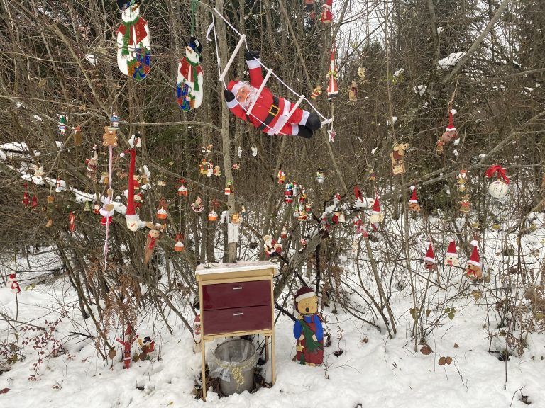 Weihnachtswald von Jolanda Gasperi