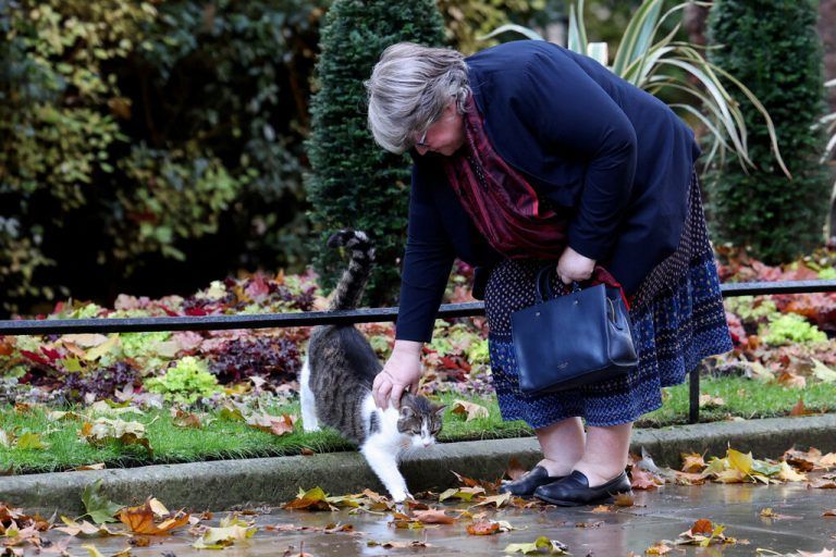 Kater Larry, der im Regierungssitz des britischen Premiers residiert, lässt sich von Landwirtschaftsministerin Therese Coffey streicheln. Reuters