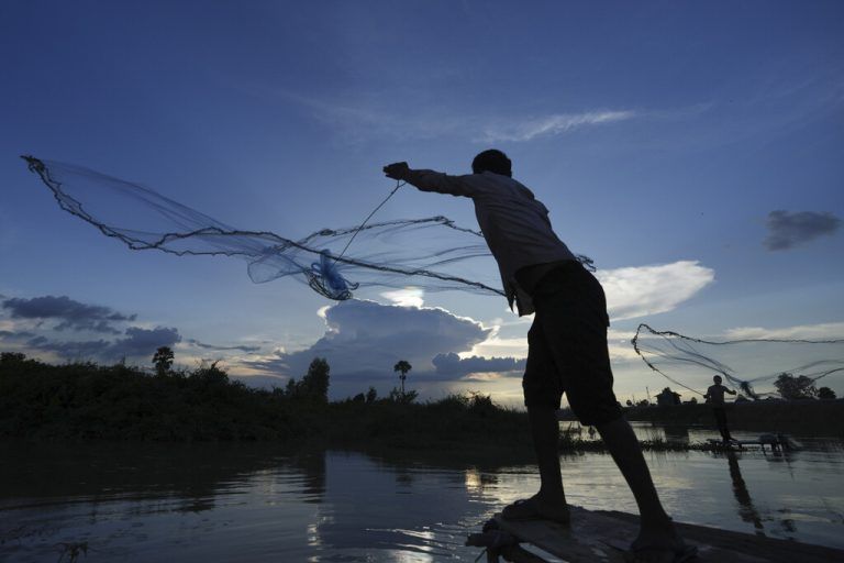 Nach dem jüngsten Regen wirft ein Fischer sein Netz auf einem Reisfeld außerhalb von Phnom Penh, Kambodscha, ins Wasser des überfluteten Feldes. AP