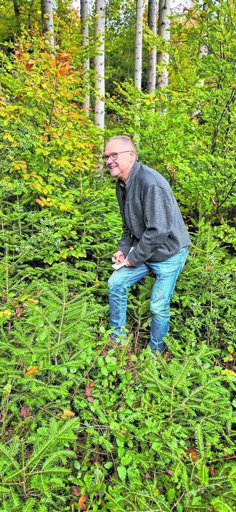 Siegbert Terzer ist seit Kindheitstagen vom Wald begeistert. BI