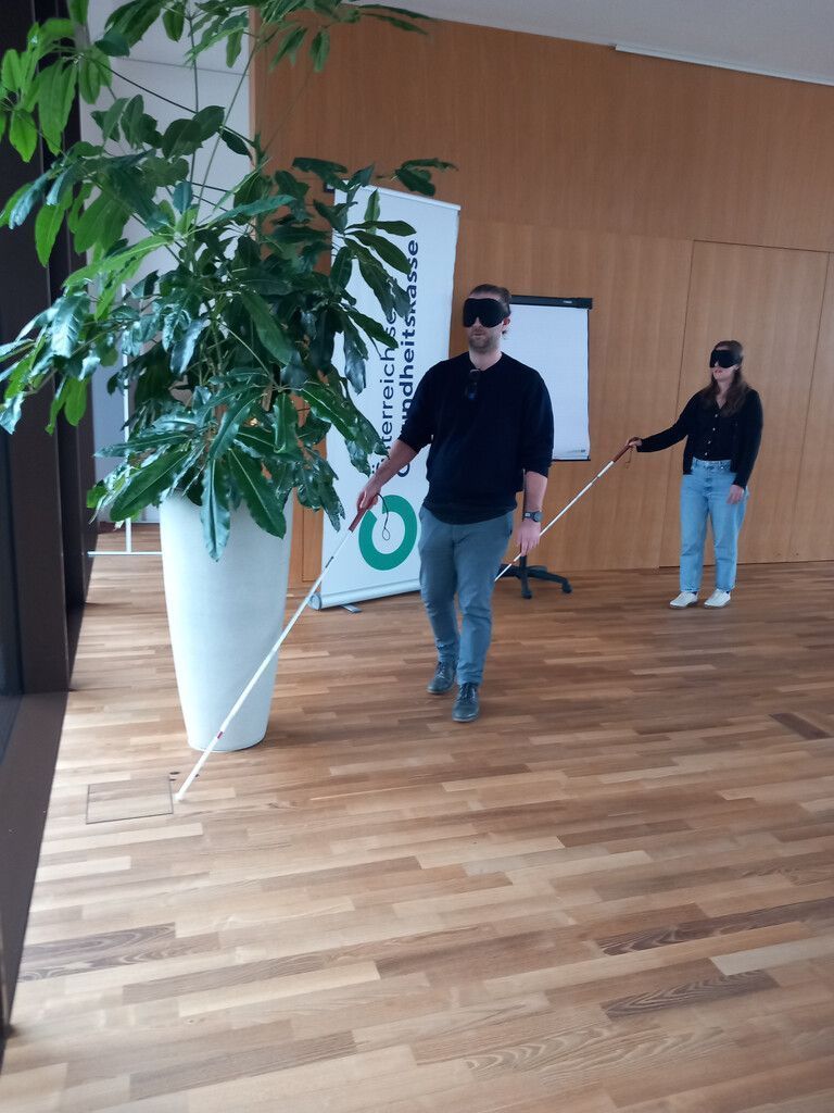So fühlt es sich an, ohne Augenlicht durchs Leben zu gehen und sich stattdessen mit einem Blindenstock behelfen zu müssen.