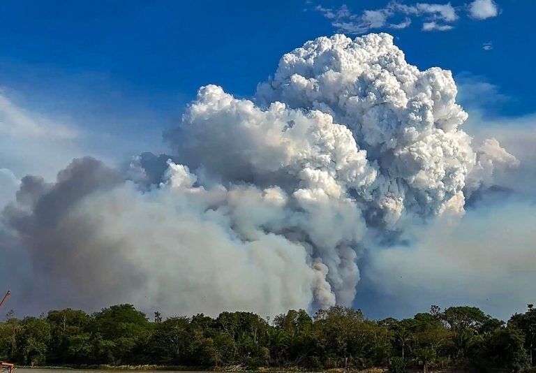 Verheerende Waldbrände haben das größte Feuchtgebiet der Welt, das Pantanal in Porto Jofre in Brasilien, verwüstet. AFP