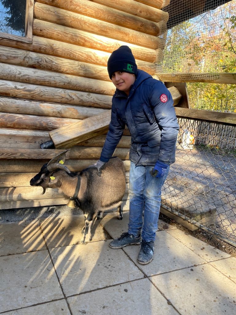 Rizwan packte im Ziegengehege mit an.