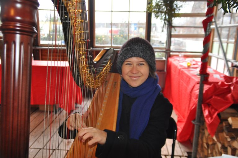 Harfenistin Caterina Vögel unterhielt die Besucher mit einfühlsamen Klängen.