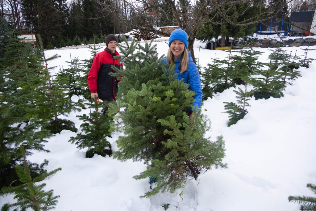 O Tannenbaum! Vorarlberger kaufen 80.000 Christbäume